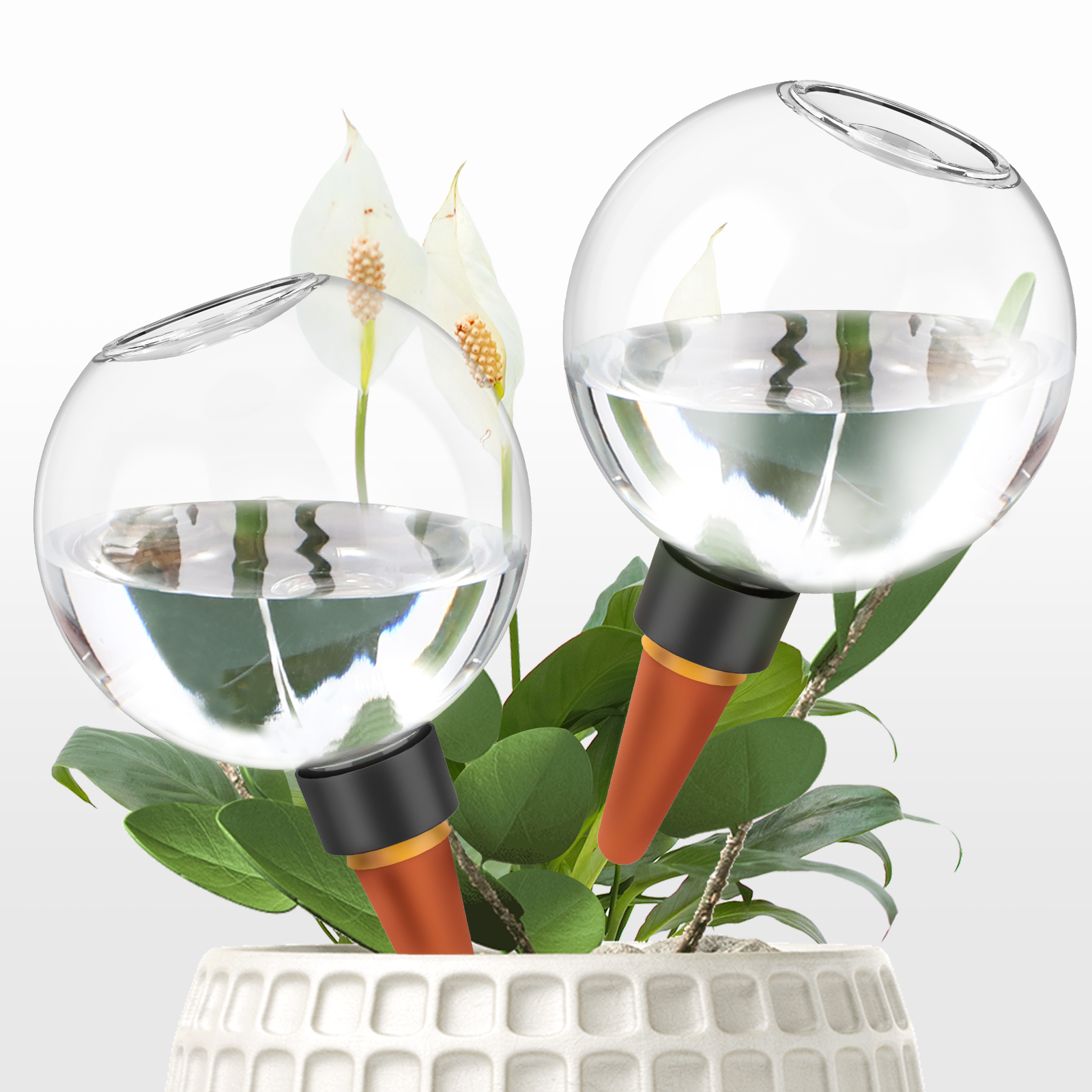 Plant Watering Globe - 2/4Pcs 500ML Automatic Drip Irrigation System