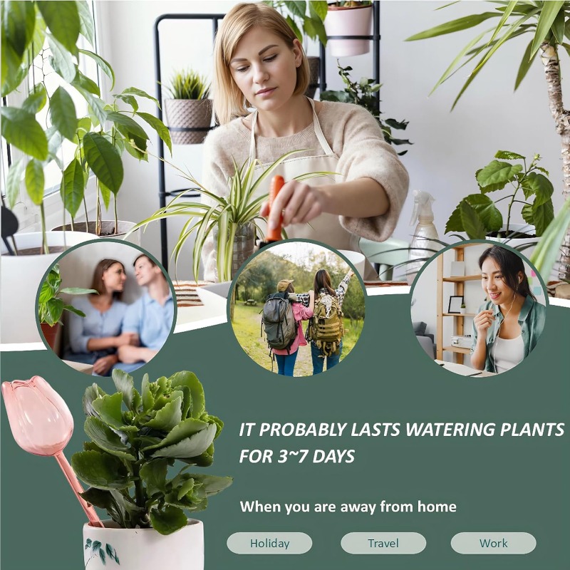 Pink Tulip Plant Watering Ball - Plant Watering Globe recensione e prezzo