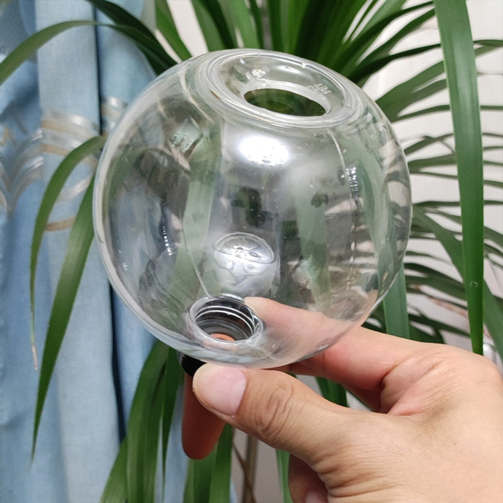 500ML Self Watering Globes Dri - Plant Watering Globe recensione e prezzo