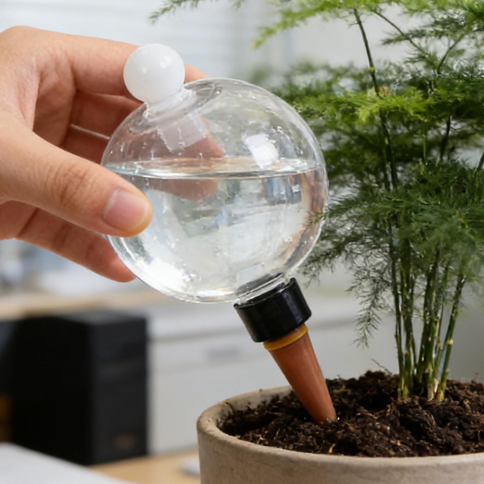 Plant Watering Bulbs 4pcs 500m - Plant Watering Globe recensione e prezzo
