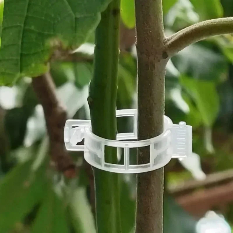 50-300PCS Plant Support Clips  - Smart Garden Furniture recensione e prezzo