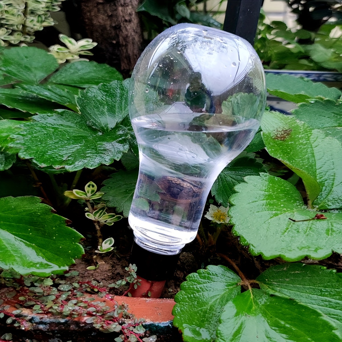 Garden Automatic Watering Tool - Smart Garden Watering System recensione e prezzo