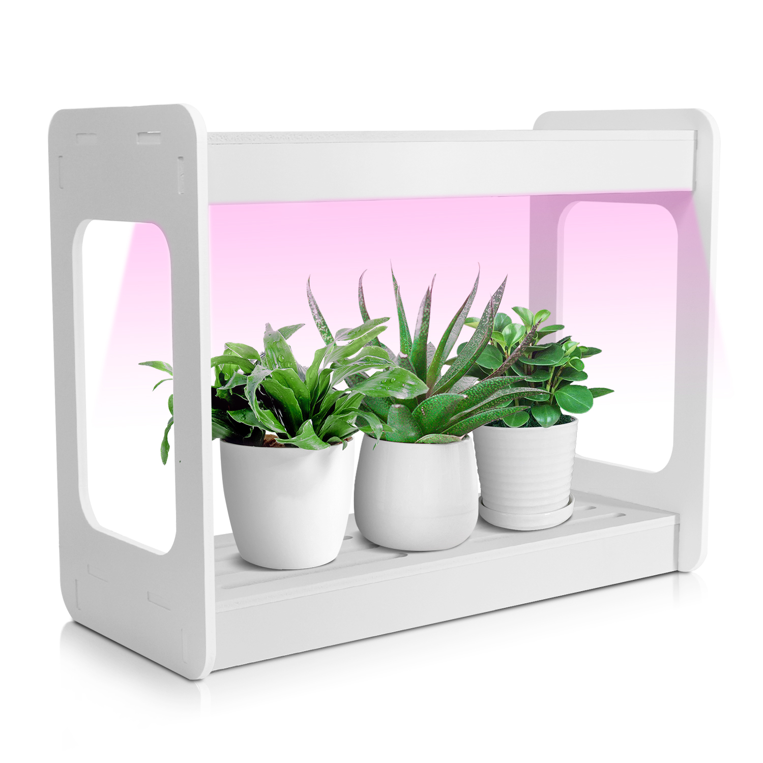 Smart Mini LED Grow Light Syst - Smart Garden Usa recensione e prezzo