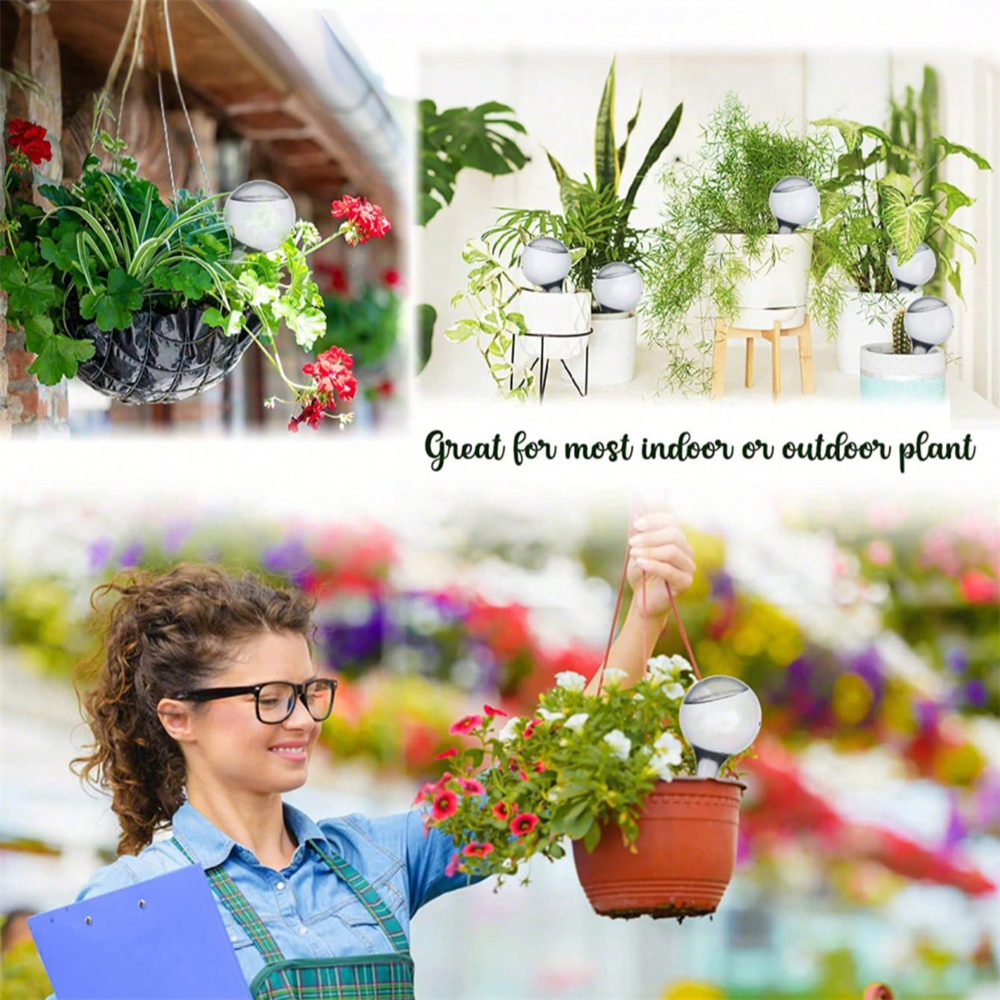 10PCS Watering Globe Clear Aut - Plant Watering Globe recensione e prezzo