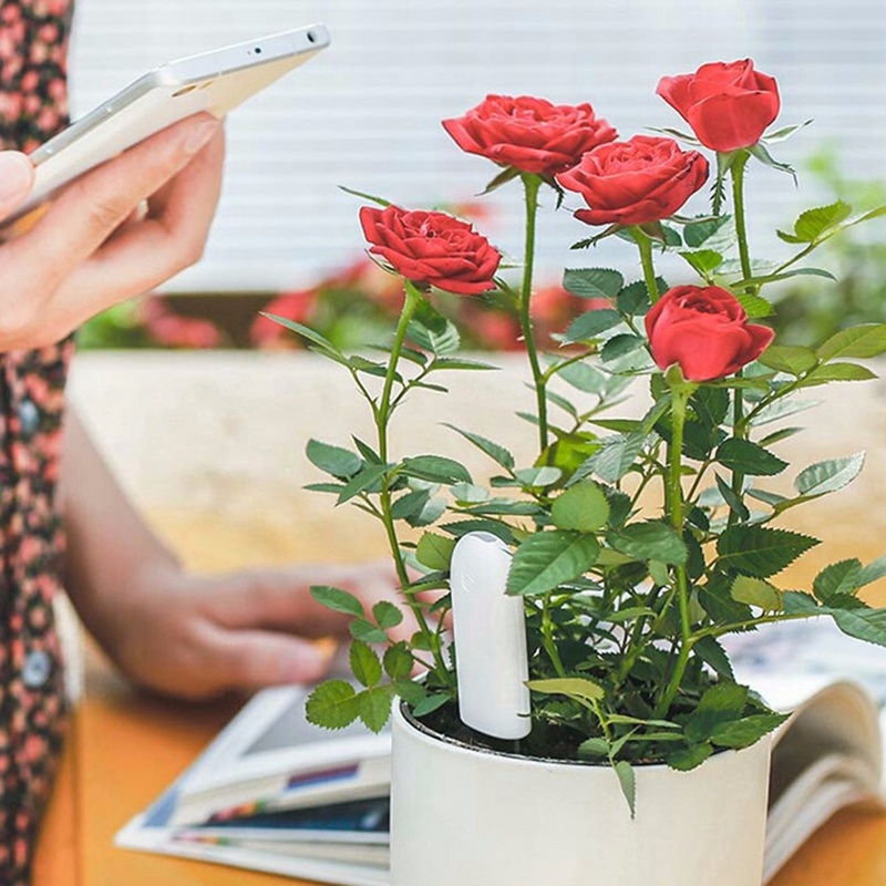 HHCC Flower Monitor Flora Gard - Smart Soil Sensor recensione e prezzo