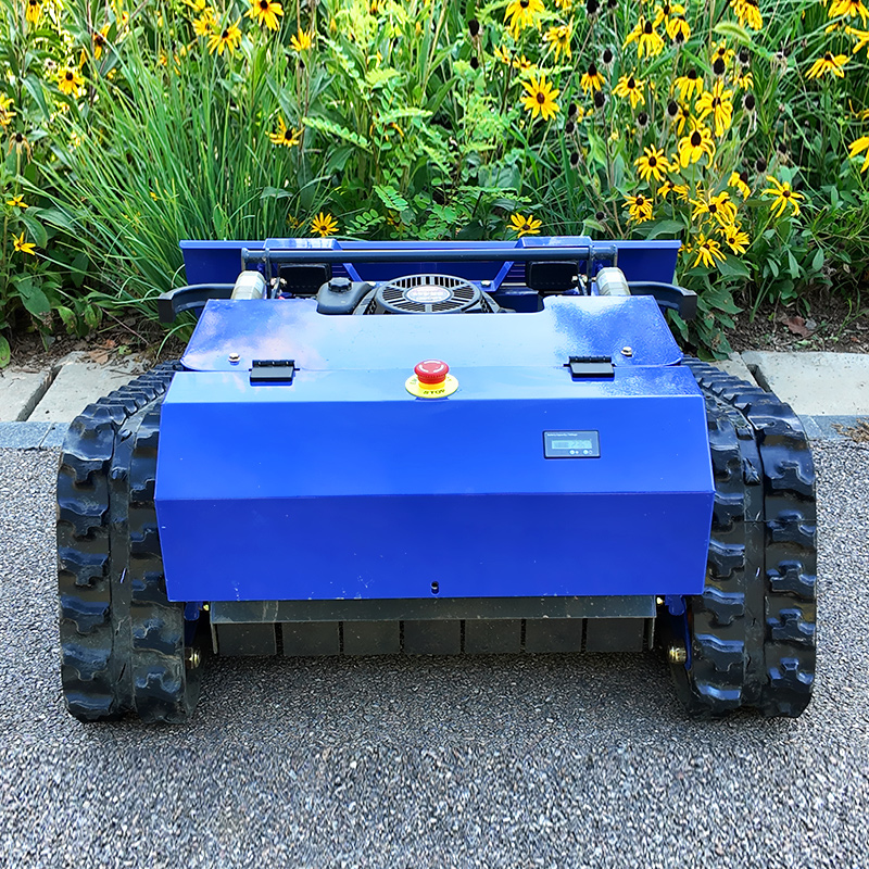 Customized Crawler Smart Remot - Smart Garden Robot recensione e prezzo