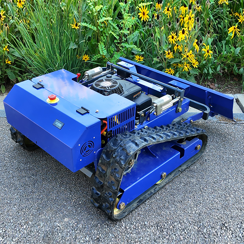 Customized Crawler Smart Remot - Smart Garden Robot recensione e prezzo