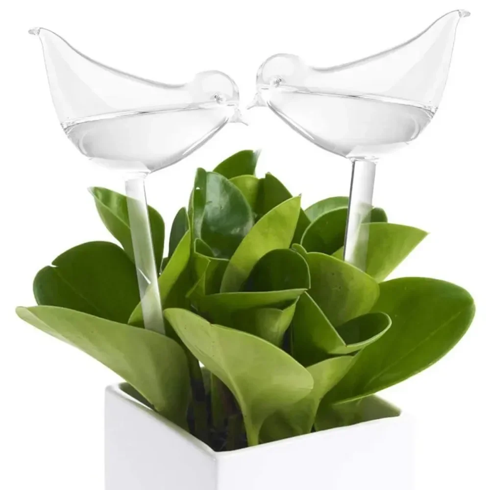Bird Shape Clear Automatic Flo - Plant Watering Globe recensione e prezzo