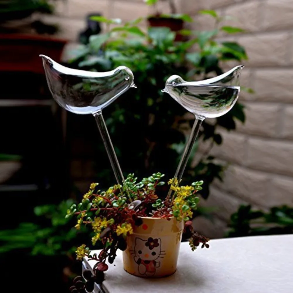Bird Shape Clear Automatic Flo - Plant Watering Globe recensione e prezzo