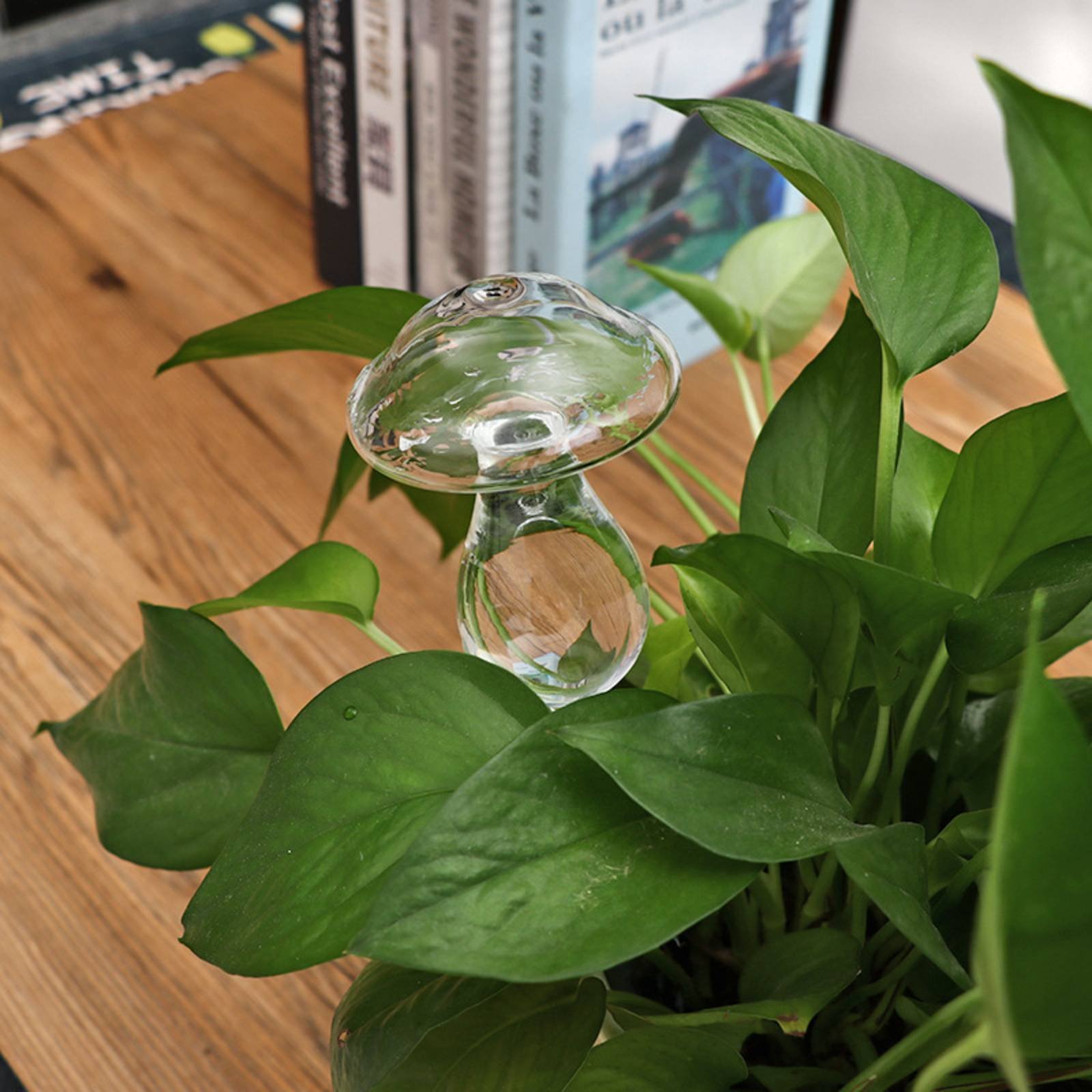 Automatic Plant Watering Globe - Plant Watering Globe recensione e prezzo