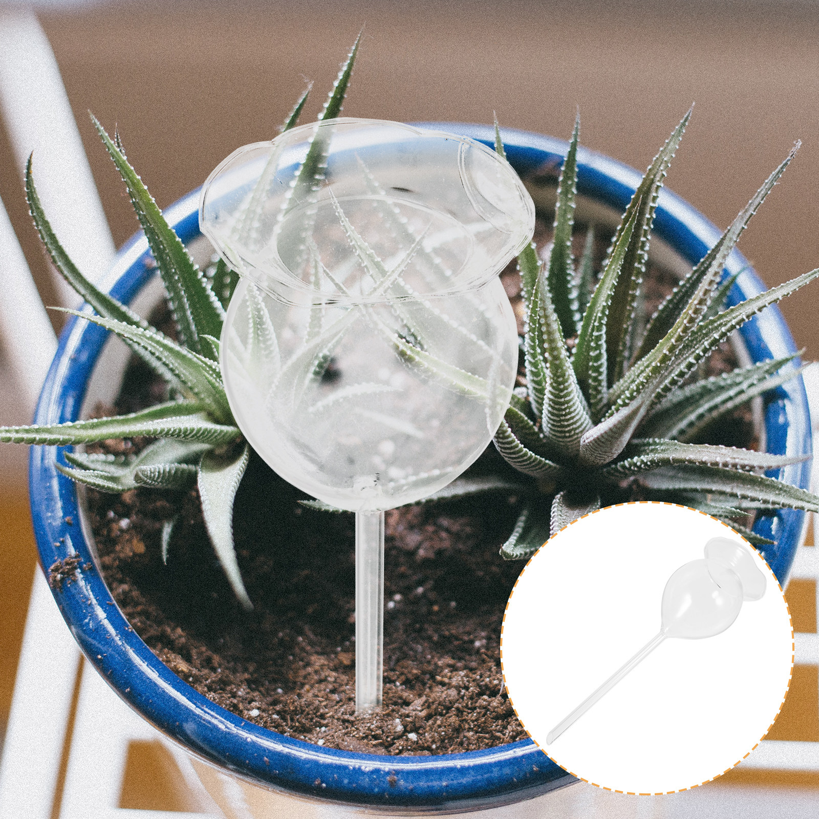 2Pcs Glass Watering Bulbs Auto - Plant Watering Globe recensione e prezzo