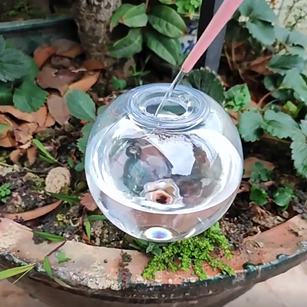 500ML Self Watering Globes Dri - Plant Watering Globe recensione e prezzo