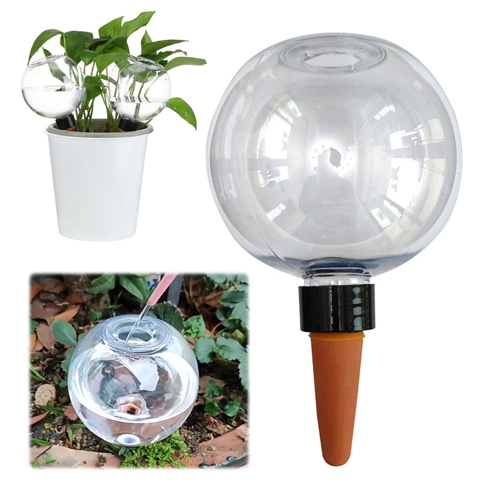 500ML Self Watering Globes Dri - Plant Watering Globe recensione e prezzo
