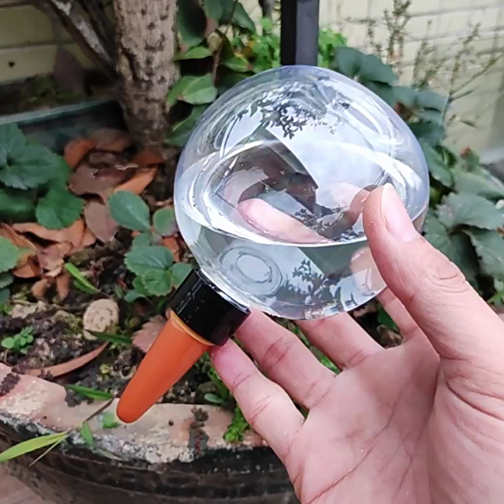500ML Self Watering Globes Dri - Plant Watering Globe recensione e prezzo
