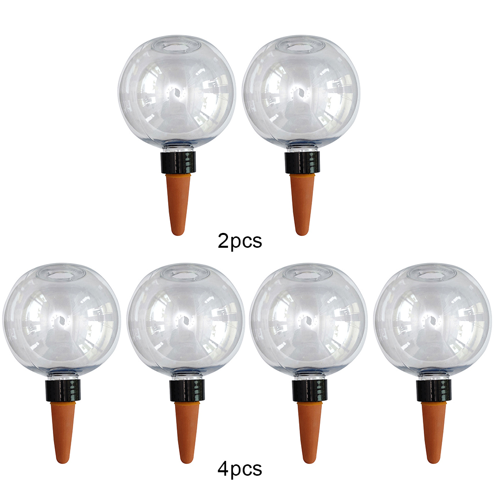 500ML Self Watering Globes Dri - Plant Watering Globe recensione e prezzo