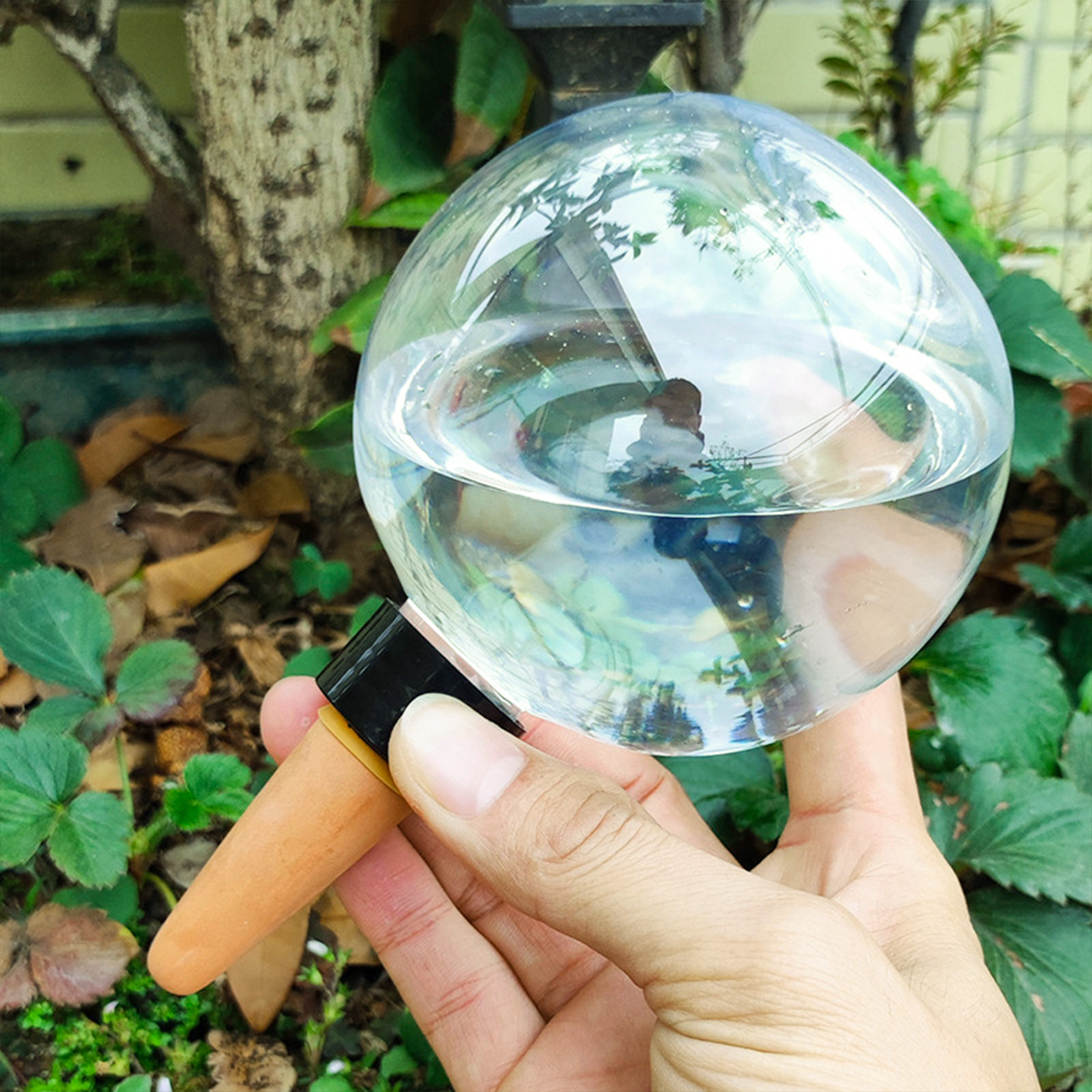 500ML Automatic Plant Watering - Plant Watering Globe recensione e prezzo