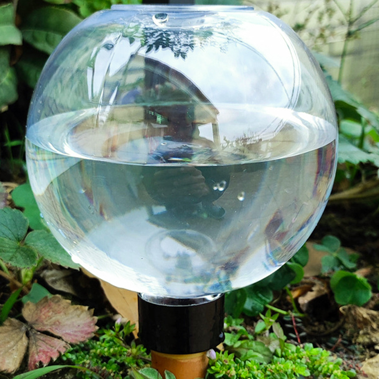 500ML Automatic Plant Watering - Plant Watering Globe recensione e prezzo