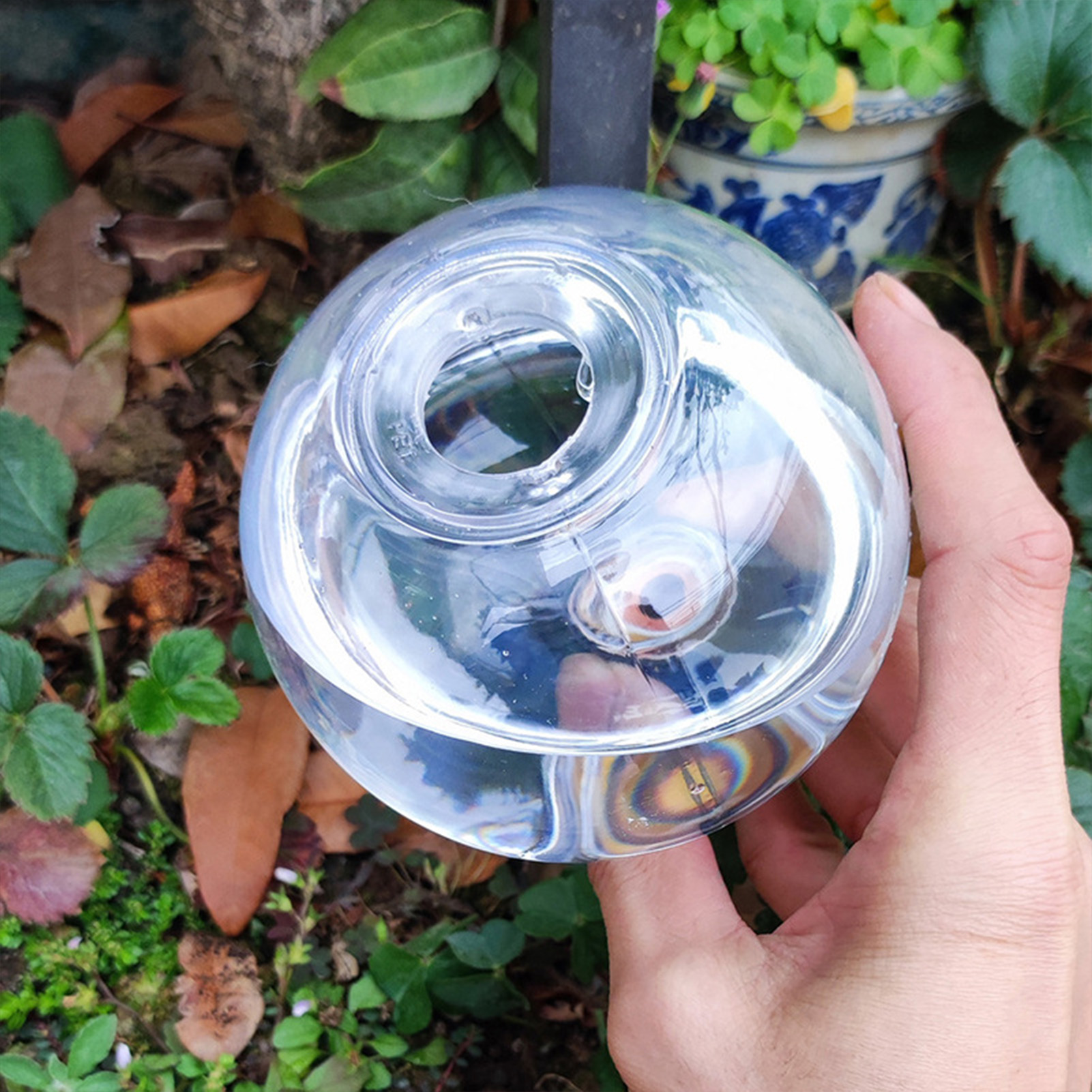 500ML Automatic Plant Watering - Plant Watering Globe recensione e prezzo
