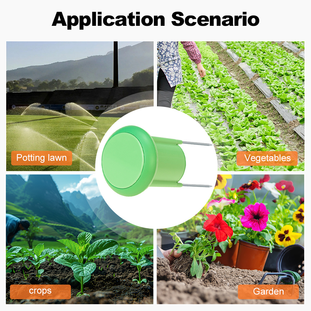 Zigbee Smart Soil Sensor Plant - Smart Soil Sensor recensione e prezzo
