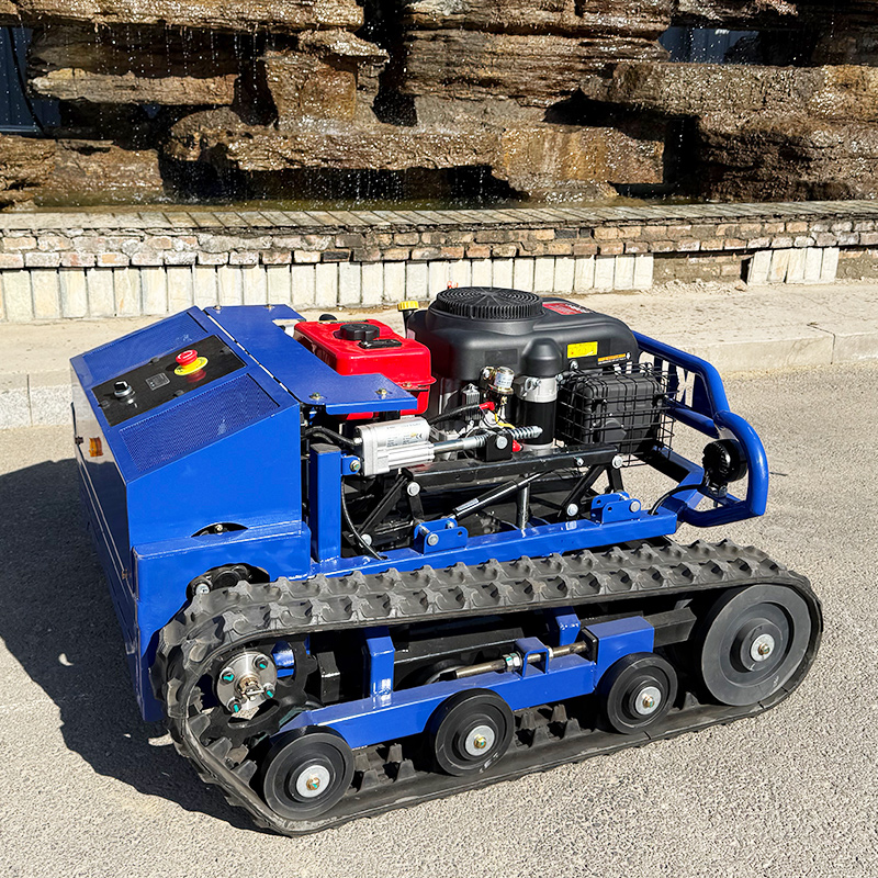 Customized High Quality Remote - Smart Garden Robot recensione e prezzo