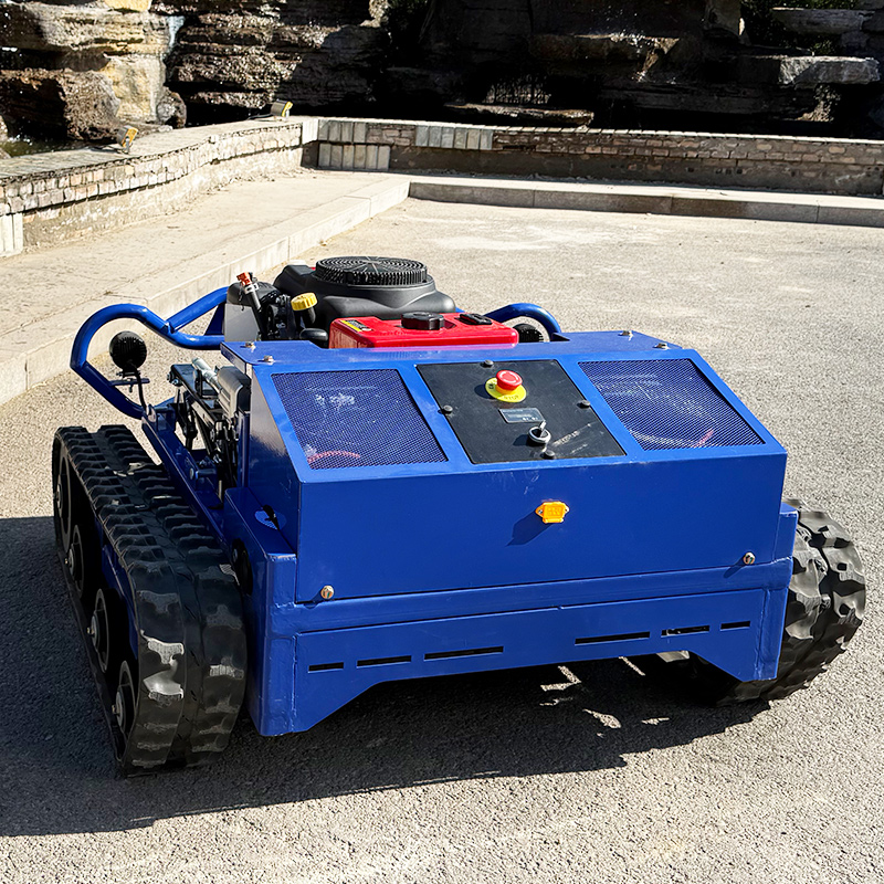 Customized High Quality Remote - Smart Garden Robot recensione e prezzo