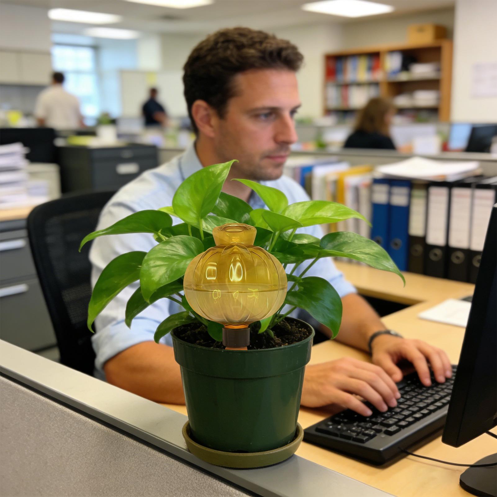 Plant Watering Globes 17Oz Aut - Plant Watering Globe recensione e prezzo