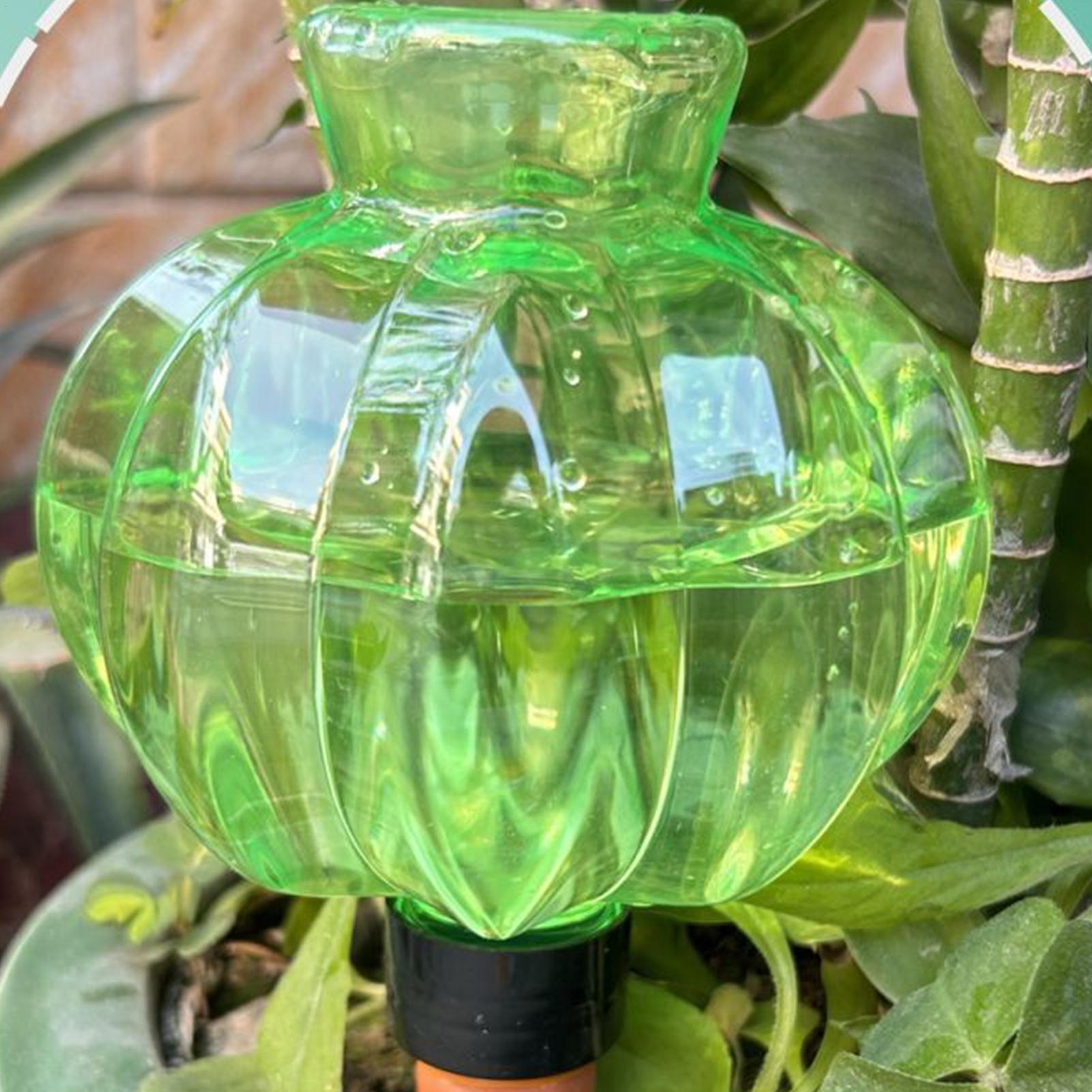 Plant Watering Globes 17Oz Aut - Plant Watering Globe recensione e prezzo