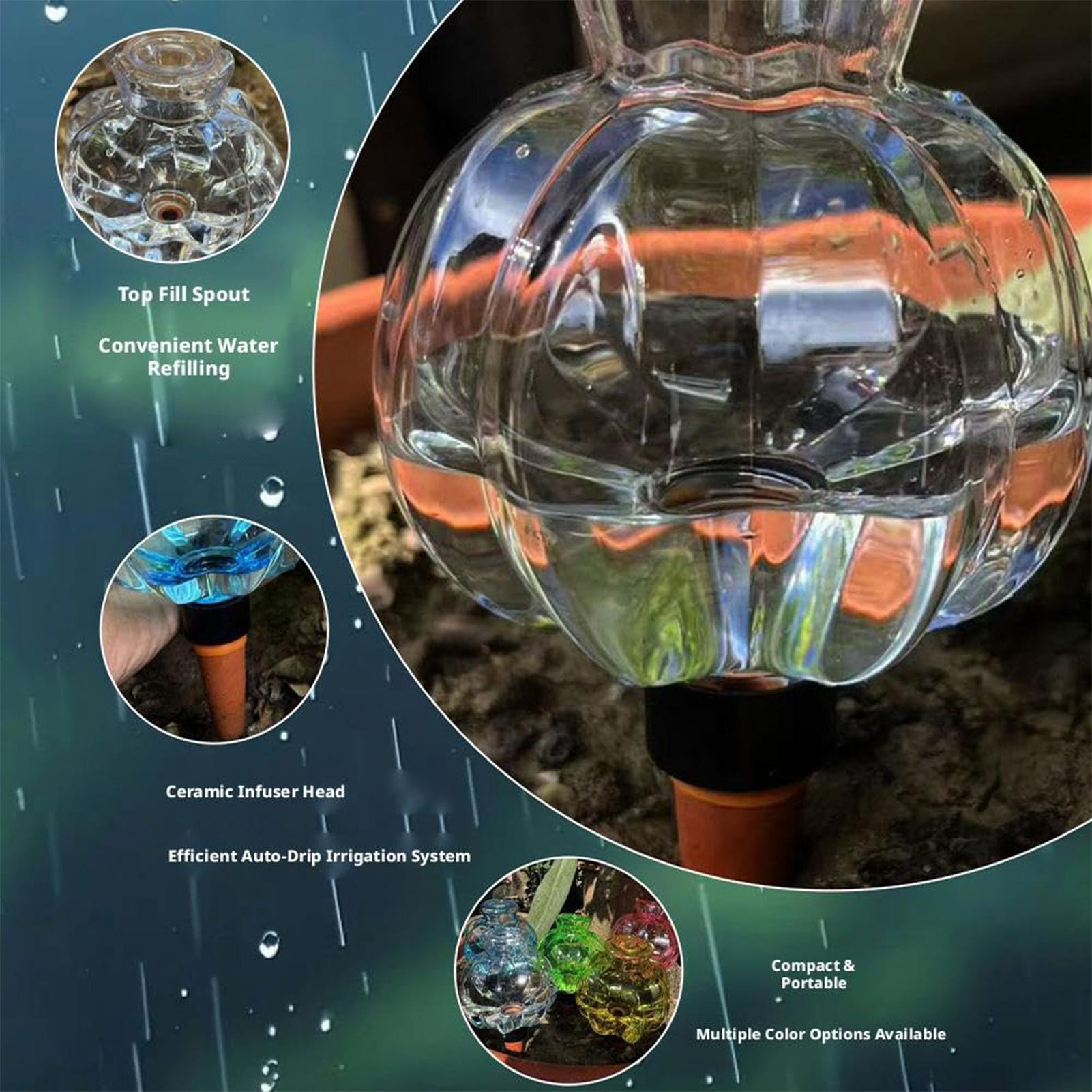 Plant Watering Globes 17Oz Aut - Plant Watering Globe recensione e prezzo