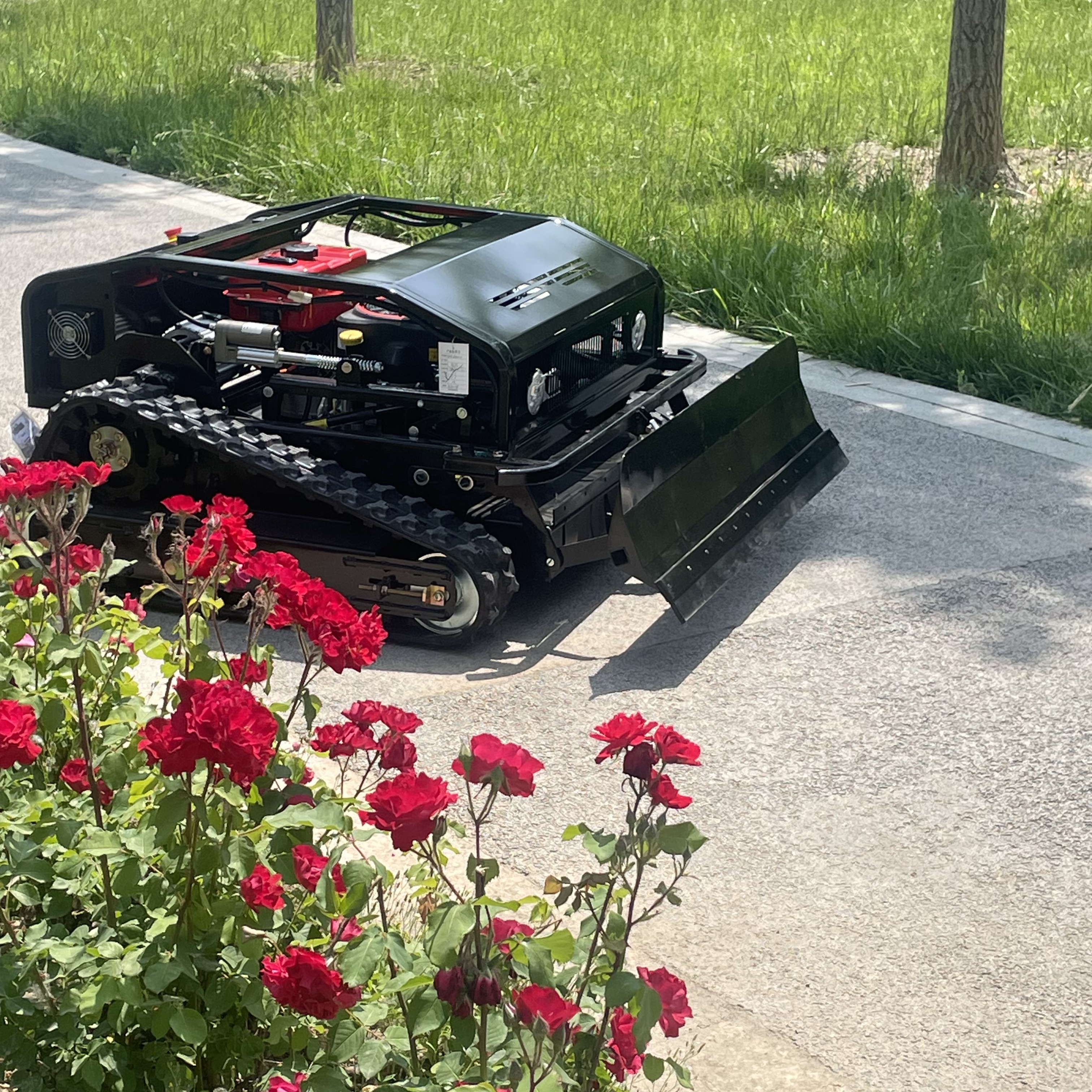ZNW‑800S Customizable Smart Ro - Smart Garden Robot recensione e prezzo