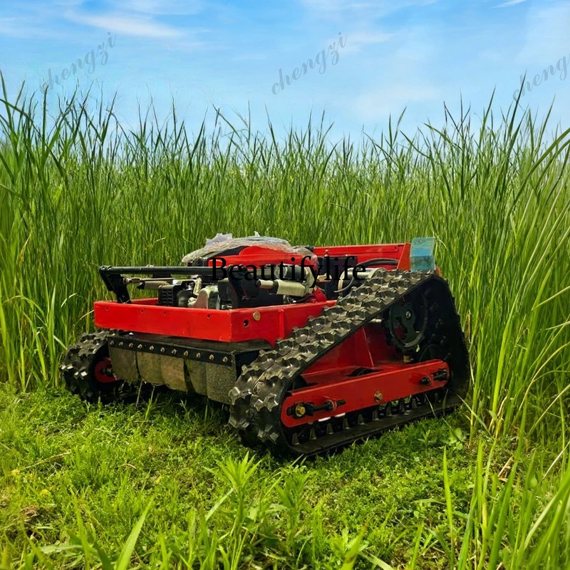 Customized High-Quality Remote - Smart Garden Robot recensione e prezzo