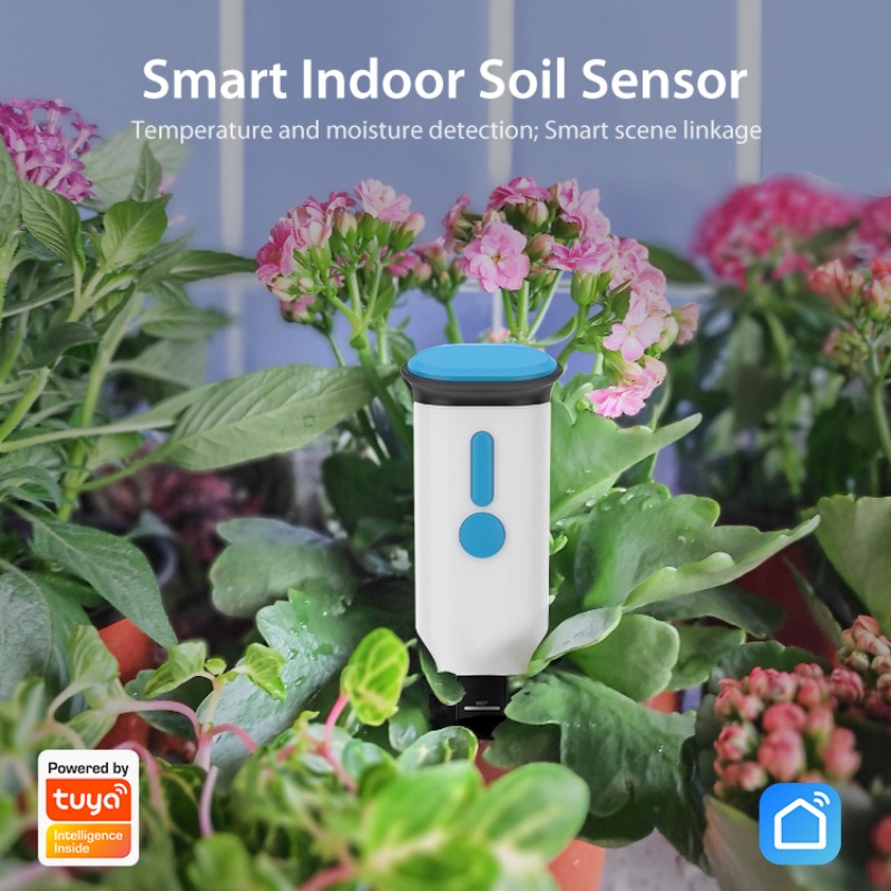 Tuya Smart Bluetooth WIFI Soil - Smart Garden Furniture recensione e prezzo