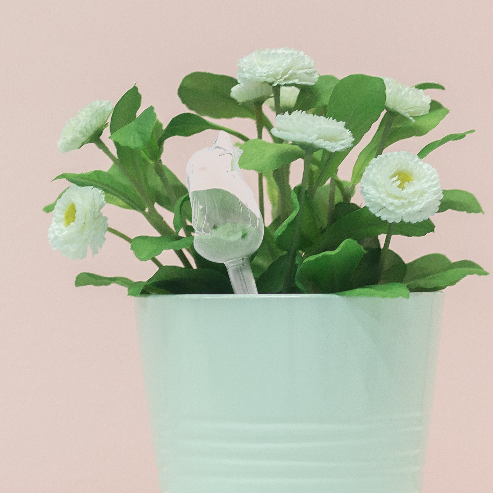 Glass Self-Watering Globes Aut - Plant Watering Globe recensione e prezzo