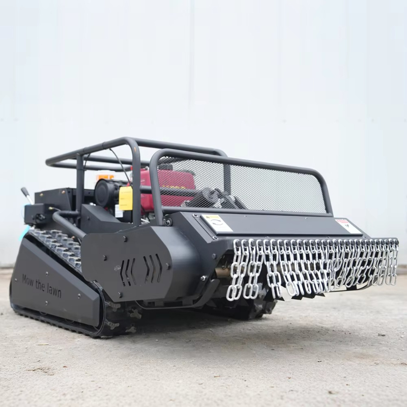 Customized Smart Remote Start  - Smart Garden Robot recensione e prezzo
