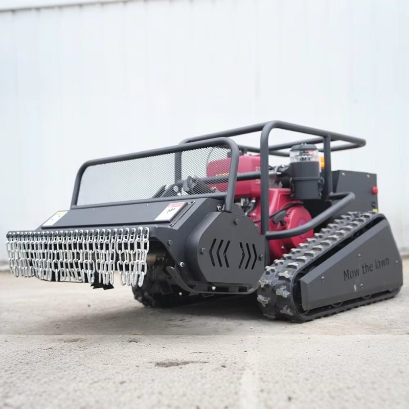 Customized Smart Remote Start  - Smart Garden Robot recensione e prezzo