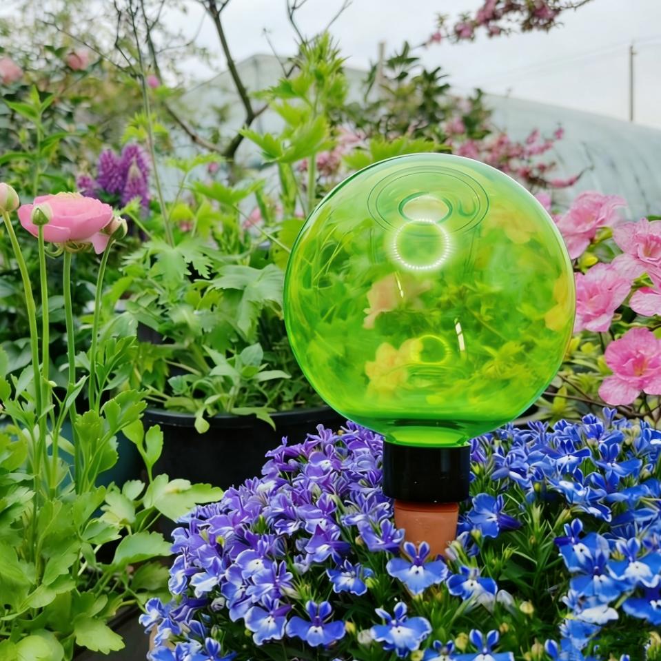 3pcs Large Plant Self Watering - Plant Watering Globe recensione e prezzo