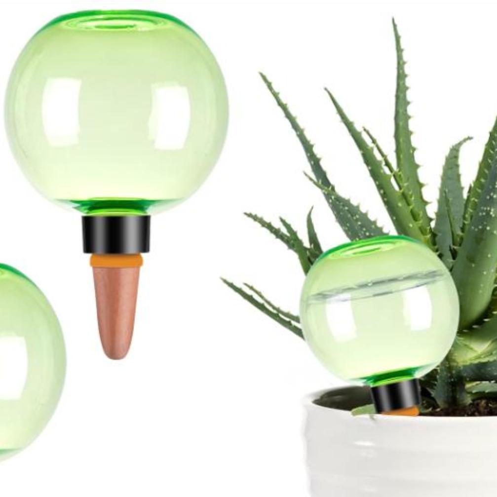 3pcs Large Plant Self Watering - Plant Watering Globe recensione e prezzo