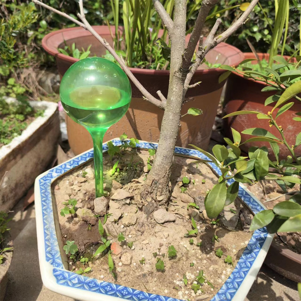 Automatic Plant Watering Bulbs - Plant Watering Globe recensione e prezzo