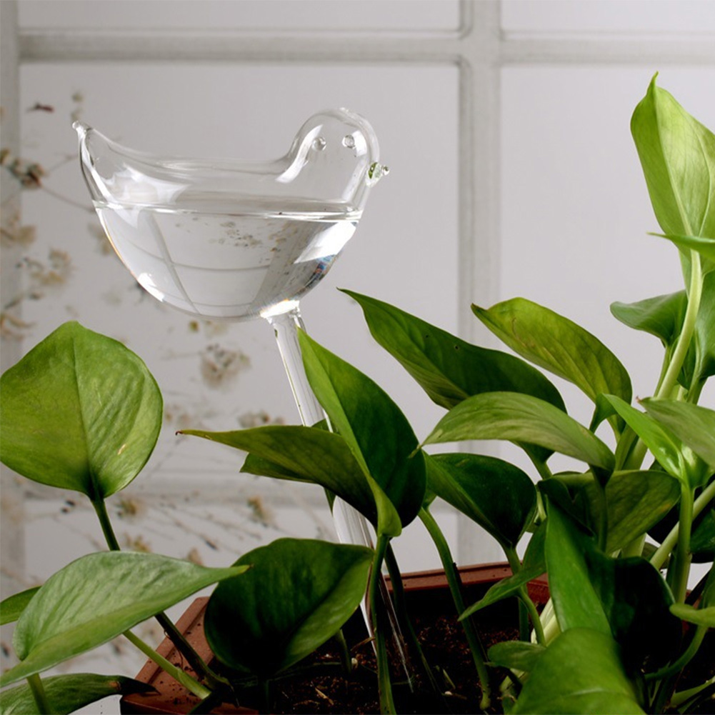 Automatic Plant Watering Bulbs - Plant Watering Globe recensione e prezzo
