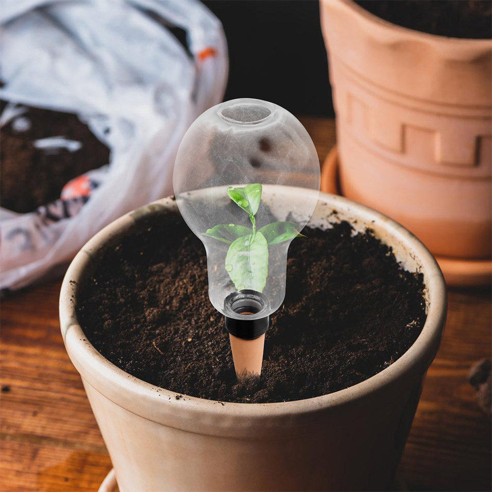 3Pcs Self Watering Planter Ins - Plant Watering Globe recensione e prezzo