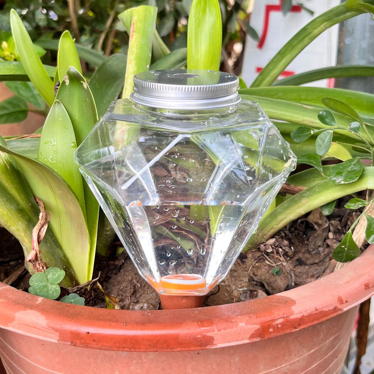 1pcs Cute Plastic Watering Mac - Plant Watering Globe recensione e prezzo
