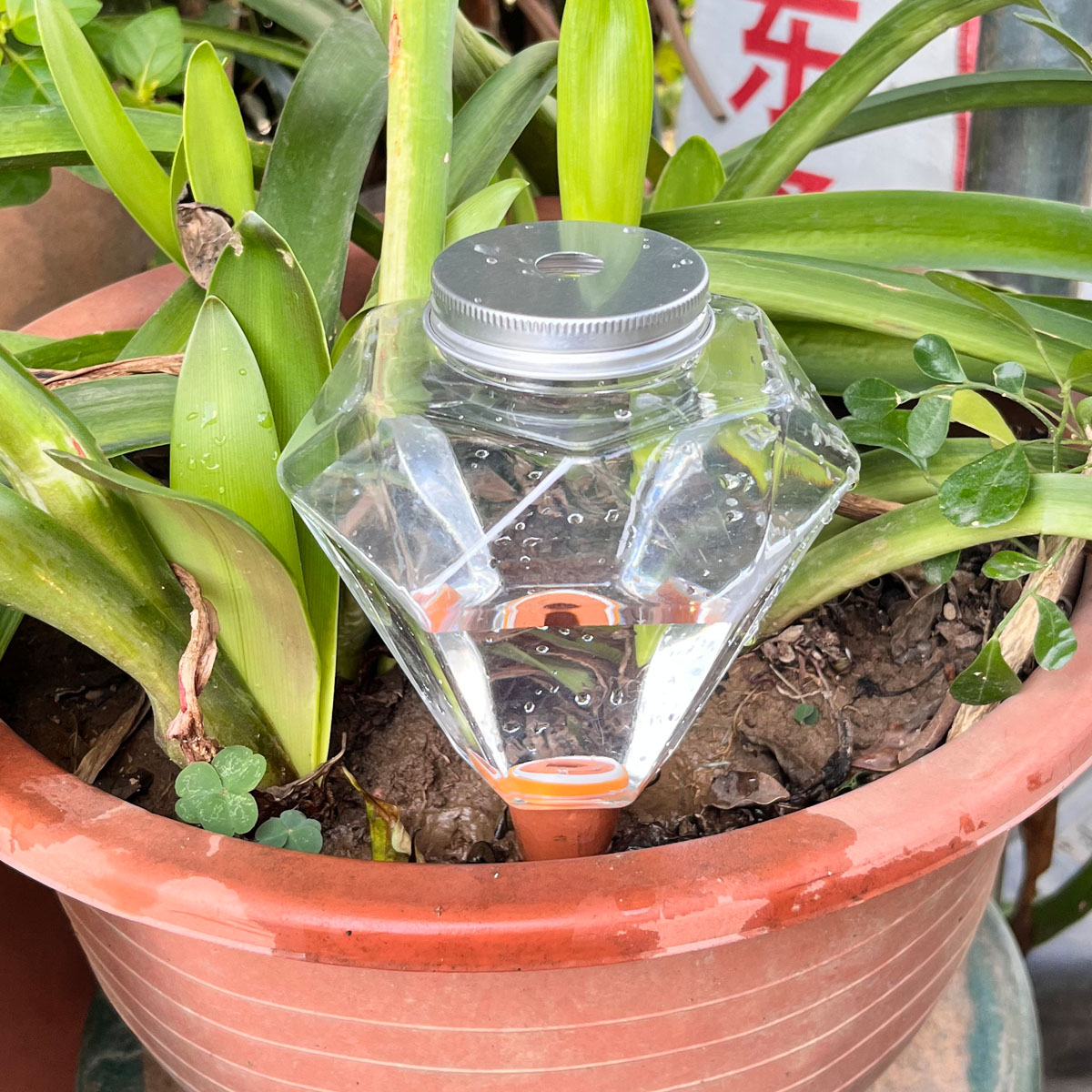 1pcs Cute Plastic Watering Mac - Plant Watering Globe recensione e prezzo