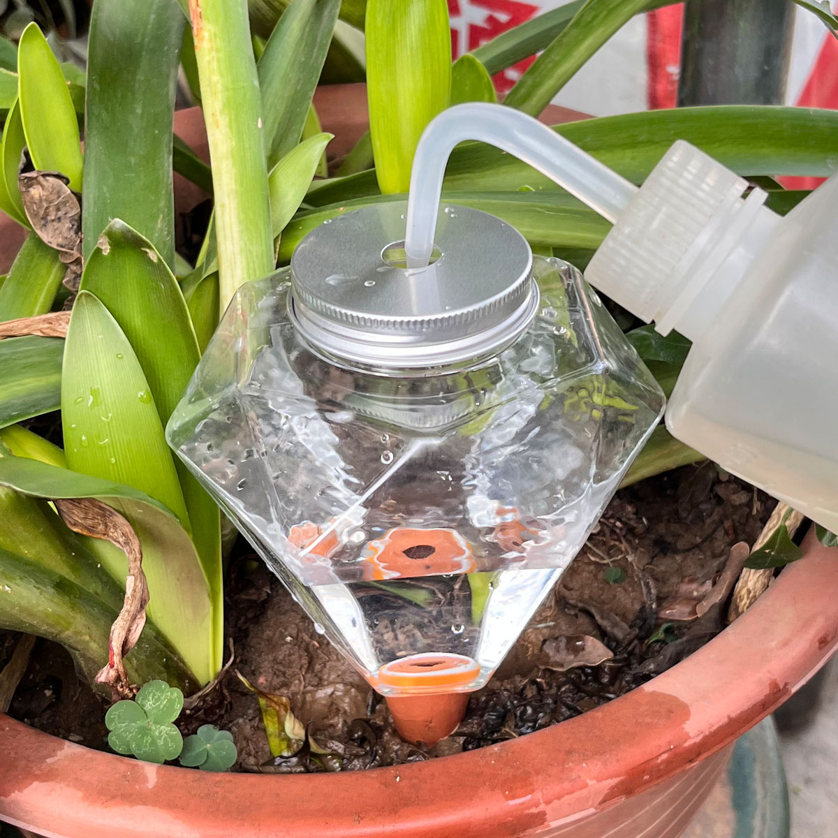 1pcs Cute Plastic Watering Mac - Plant Watering Globe recensione e prezzo