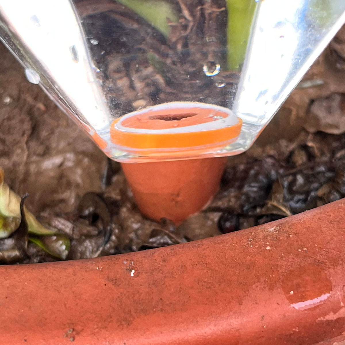 1pcs Cute Plastic Watering Mac - Plant Watering Globe recensione e prezzo