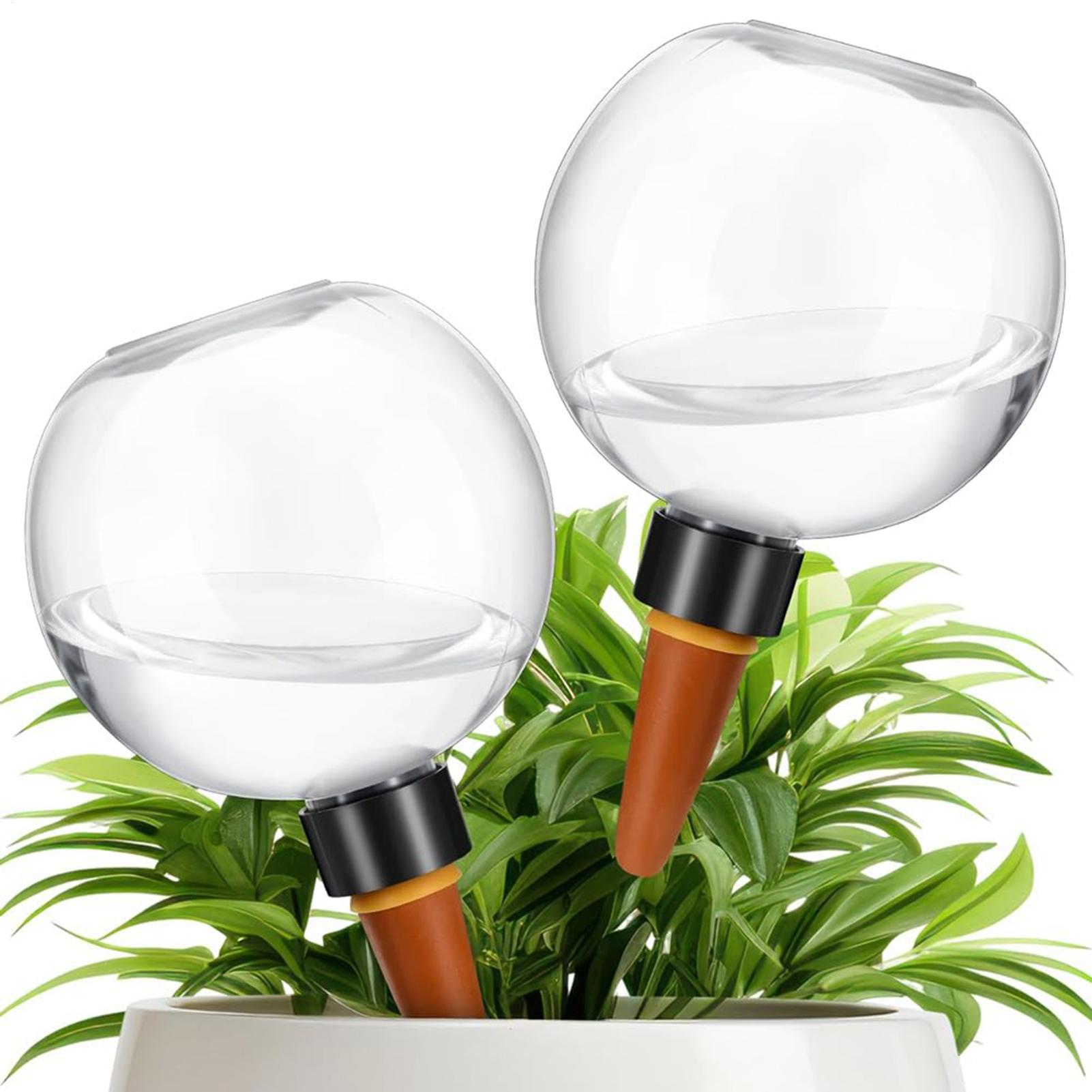 500ml Automatic Plant Watering - Plant Watering Globe recensione e prezzo