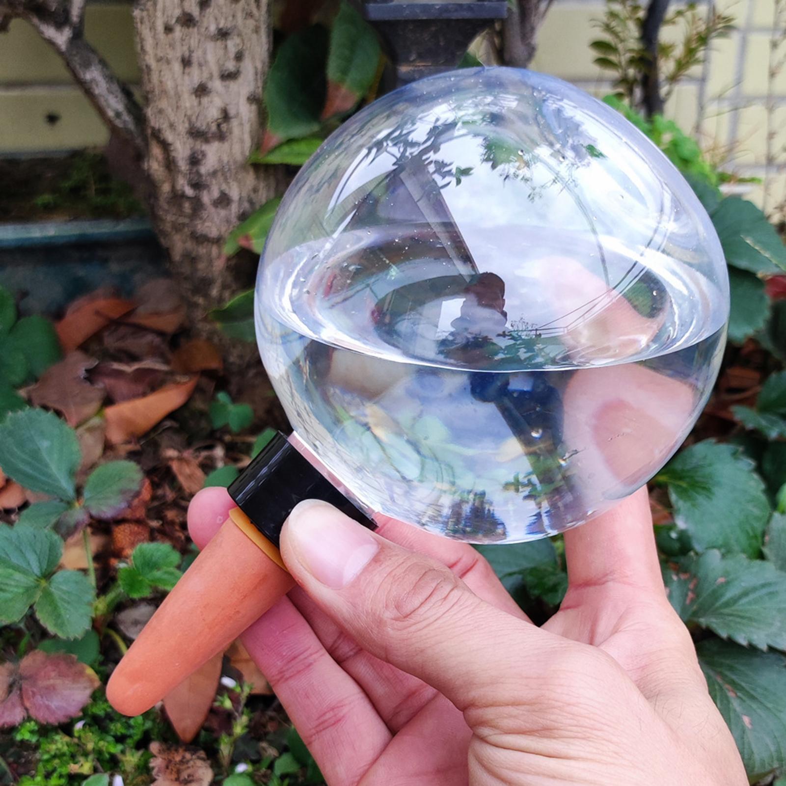 500ml Automatic Plant Watering - Plant Watering Globe recensione e prezzo