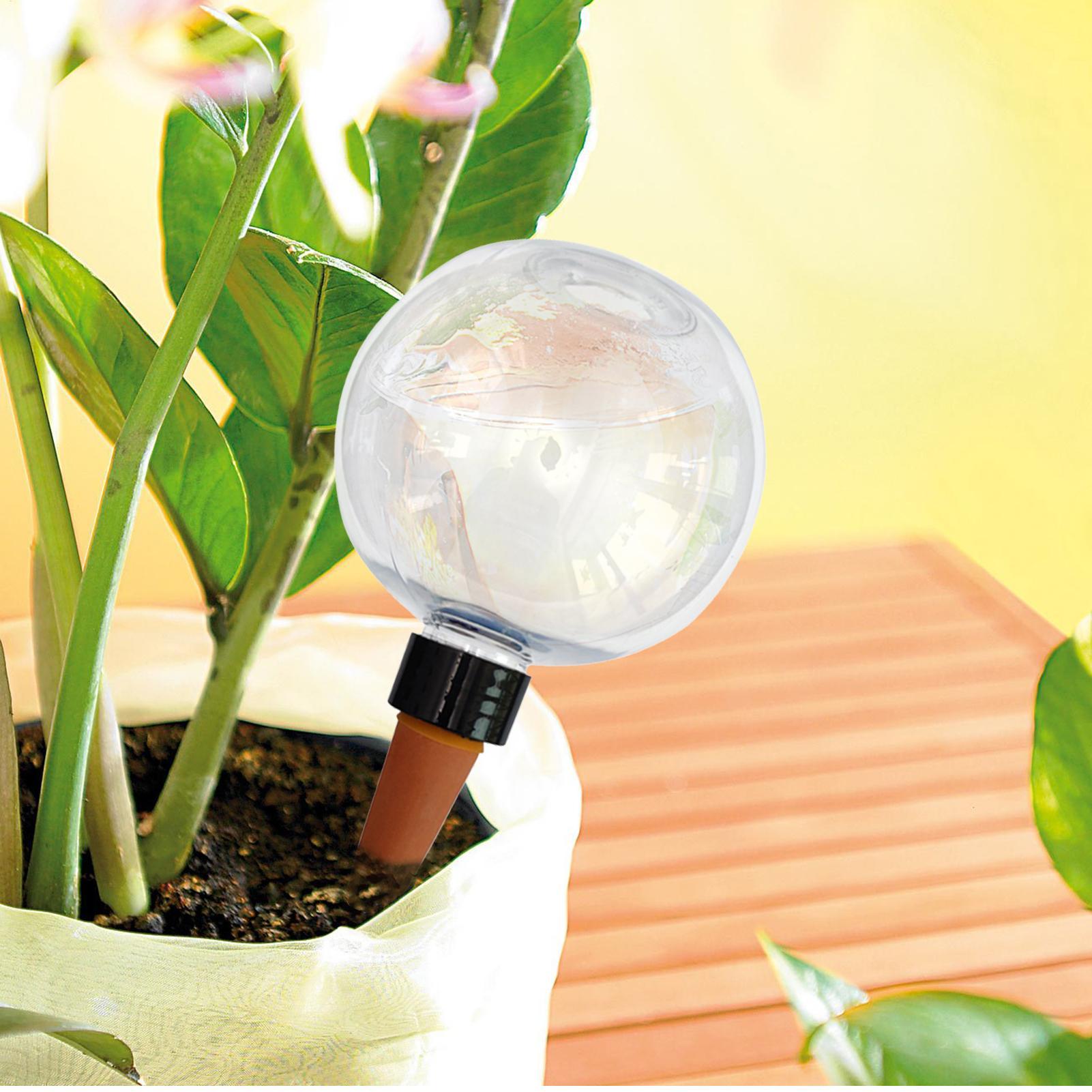 500ml Automatic Plant Watering - Plant Watering Globe recensione e prezzo