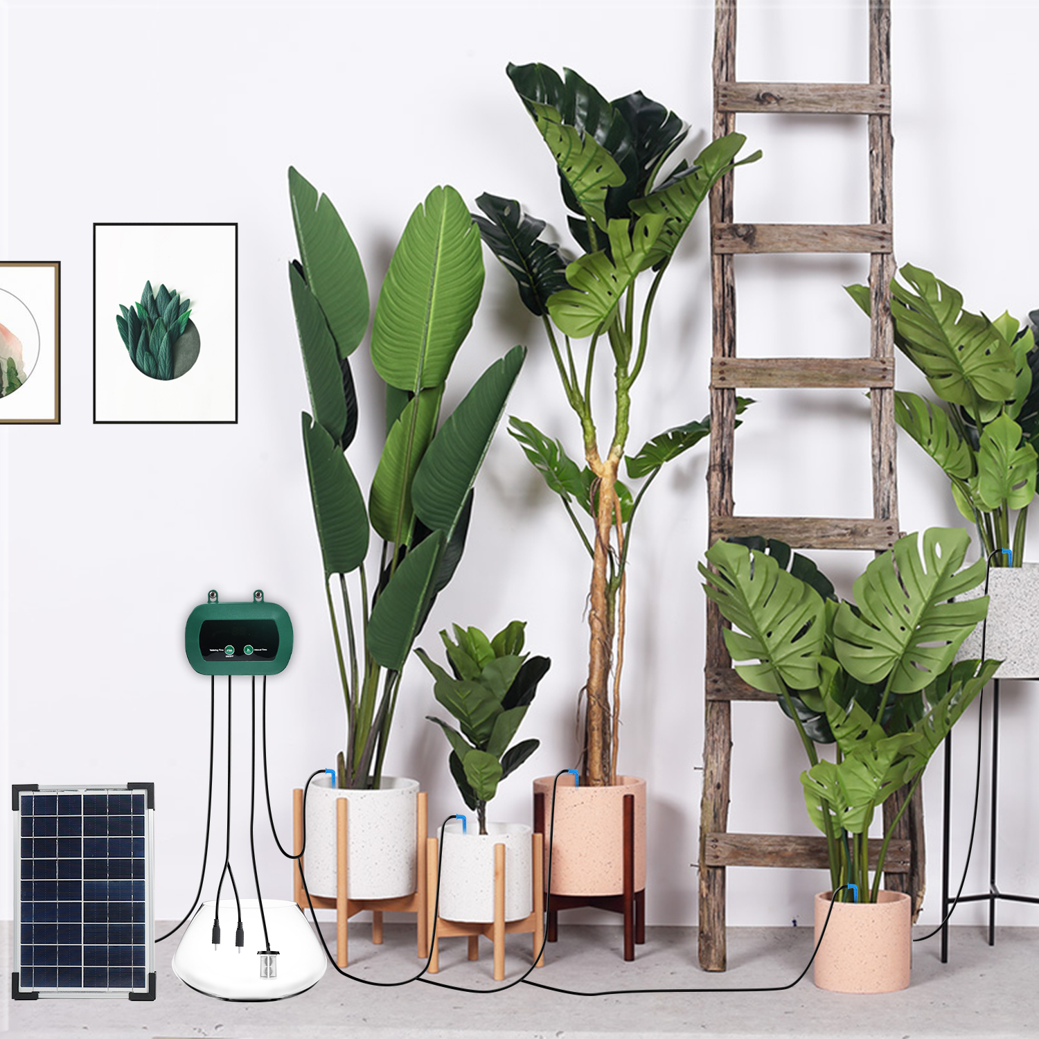 Solar Hydroponics Equipment  M - Smart Garden Usa recensione e prezzo
