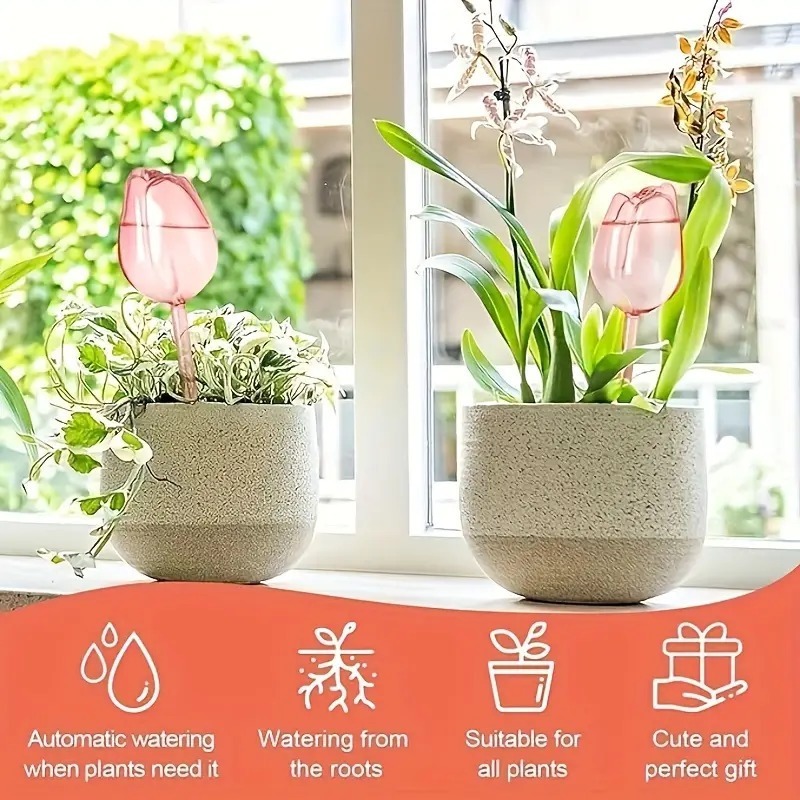 1/8pcs Premium Pink Self Water - Plant Watering Globe recensione e prezzo
