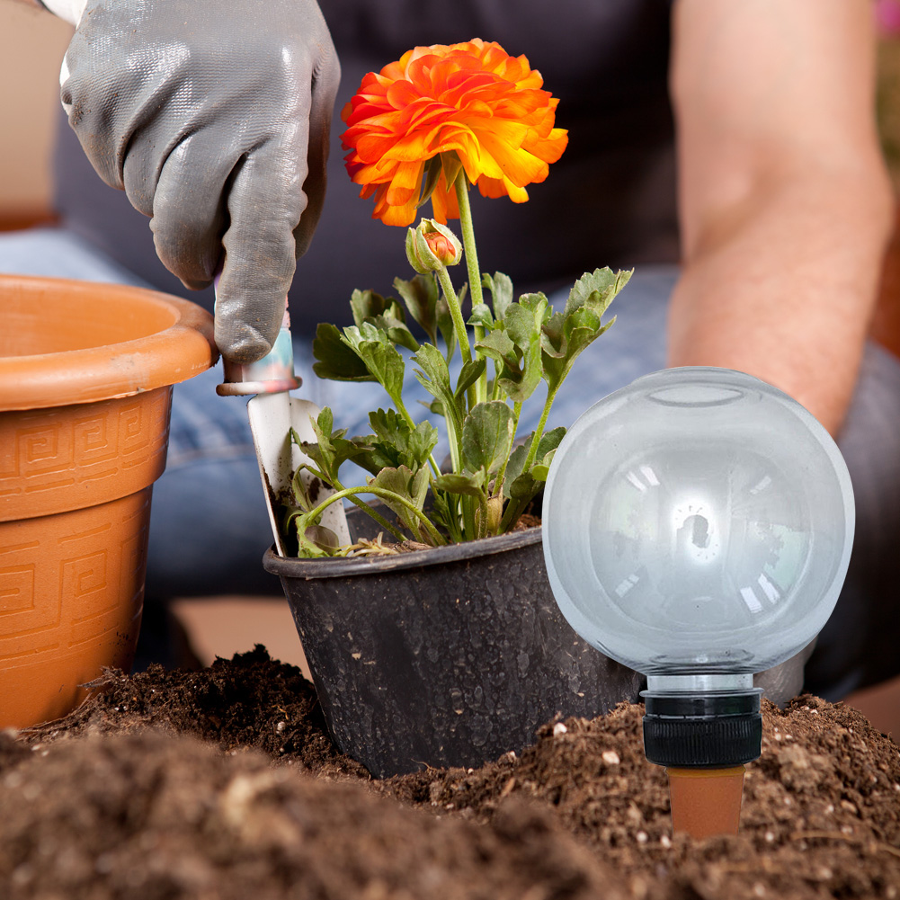 4Pcs 500ML Plant Watering Glob - Plant Watering Globe recensione e prezzo