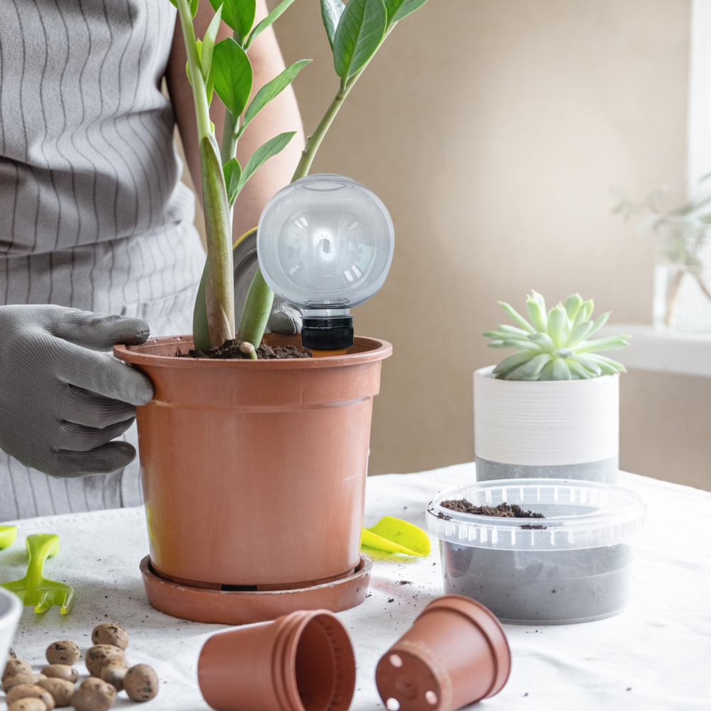 4Pcs 500ML Plant Watering Glob - Plant Watering Globe recensione e prezzo